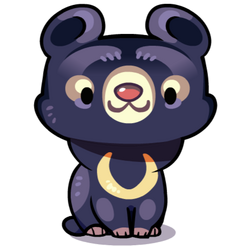 Bear, Cat Game - The Cat Collector! Wiki