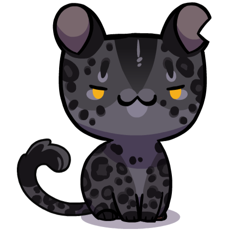 black leopard cat