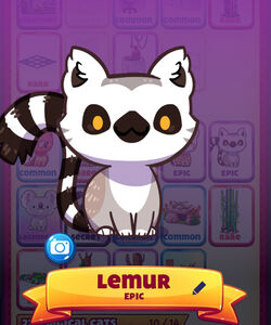Animal Sanctuary | Cat Game - The Cat Collector! Wiki | Fandom Animal Sanctuary | Cat Game - The Cat Collector! Wiki | Fandom