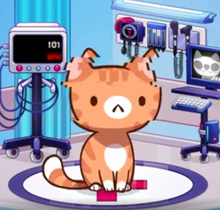 Tabby Bug Cat Game The Cat Collector Wiki Fandom
