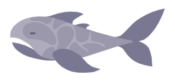 Shark cat cave online