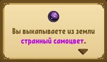 Квест (Летучий куст) 2.jpg