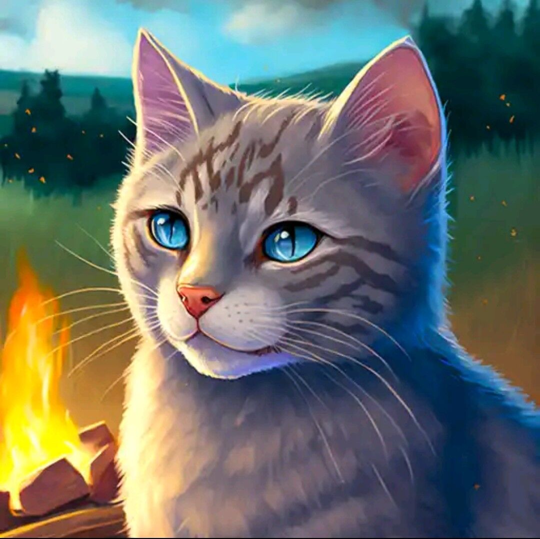 История Cat Simulator — Animal Life | Cat Simulator — Animal Life Вики |  Fandom