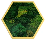 Lumber-Wood 3rd edition