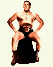 Karl gotch