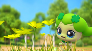 Chachaping with flowers