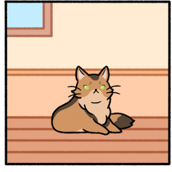 Cat condo cats online