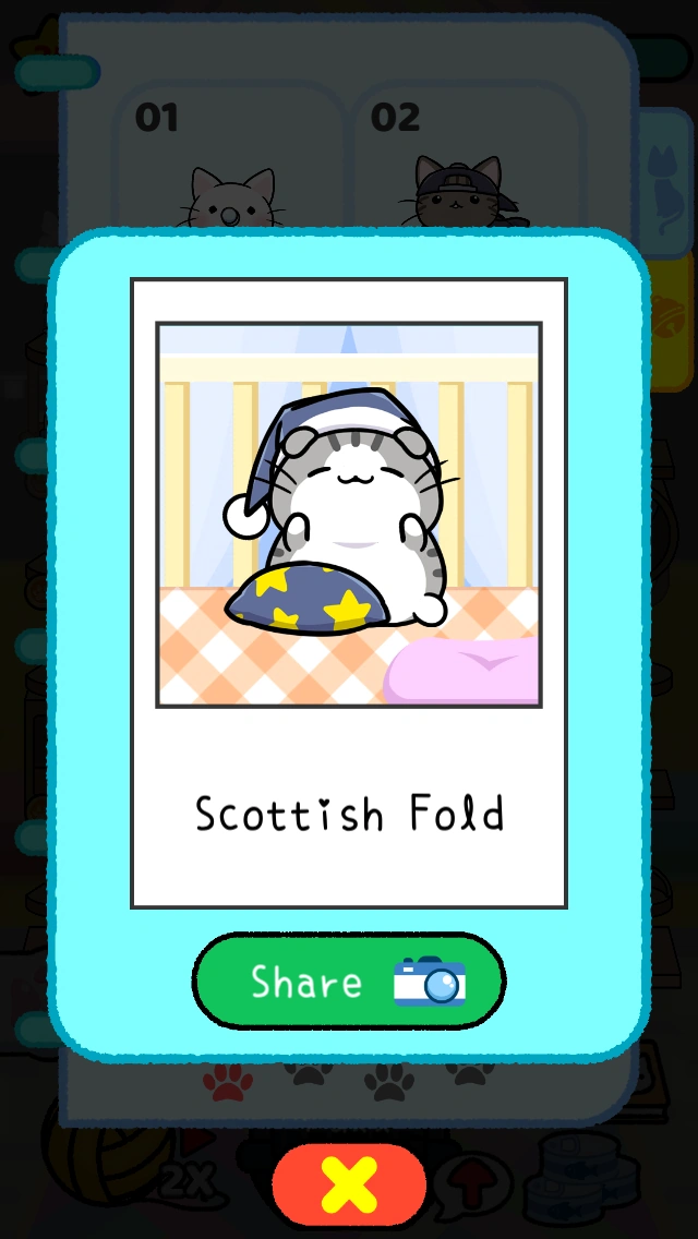 Scottish Fold Catcondo2 Wiki Fandom