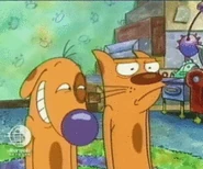 Dog smiling at Cat