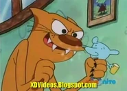 02.jpg (34 KB) Cat attempting to eat Winslow