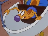 Dog watching Cat drive