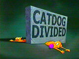 CatDog Divided