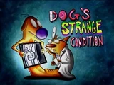 Dog's Strange Condition