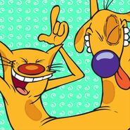 Catdog-catdog