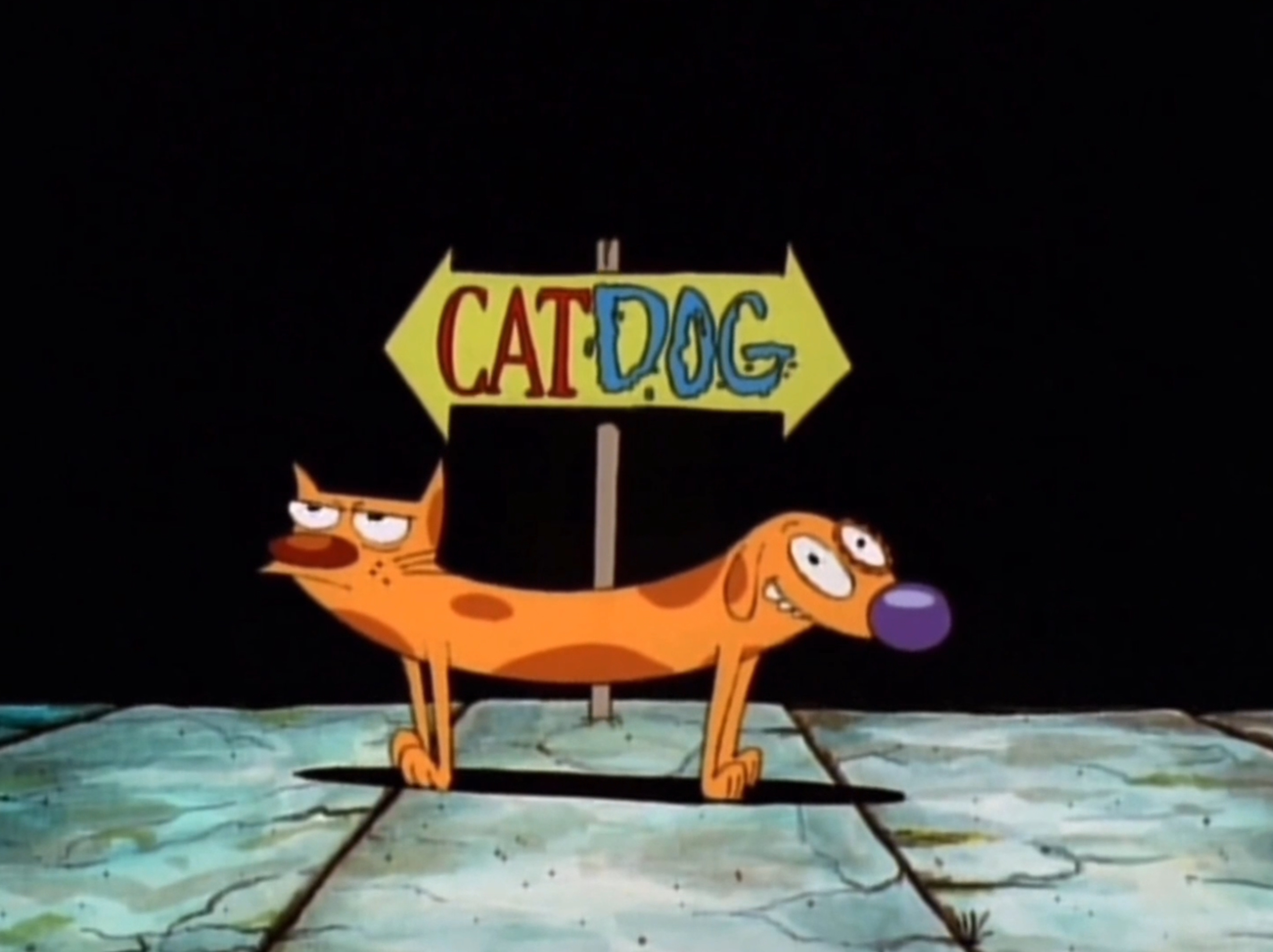 who wrote the catdog theme song