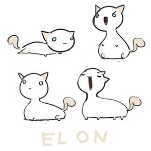 Elon Behindthescenes Catghost Wiki Fandom Summary of naarah's video and story / her death: elon behindthescenes catghost wiki
