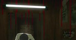 Vincent washes his face in the Stray Sheep bathroom.