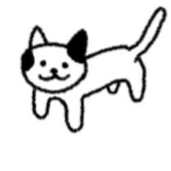 Cat are cute on sale