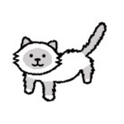 My adorable cats outlet