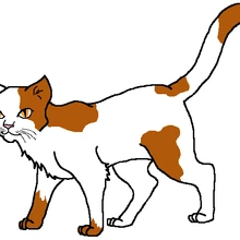 Night Clan History Cats Of The Clans Wiki Fandom