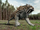 Smilodon