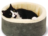 Cat Bed