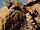Andean Mountain Cat