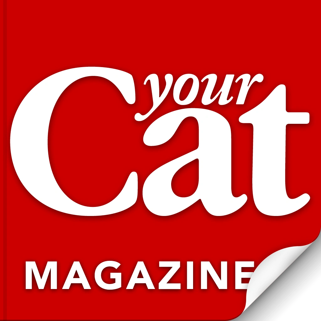 Your Cat Magazine Cats Wiki Fandom