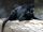 Black Panther