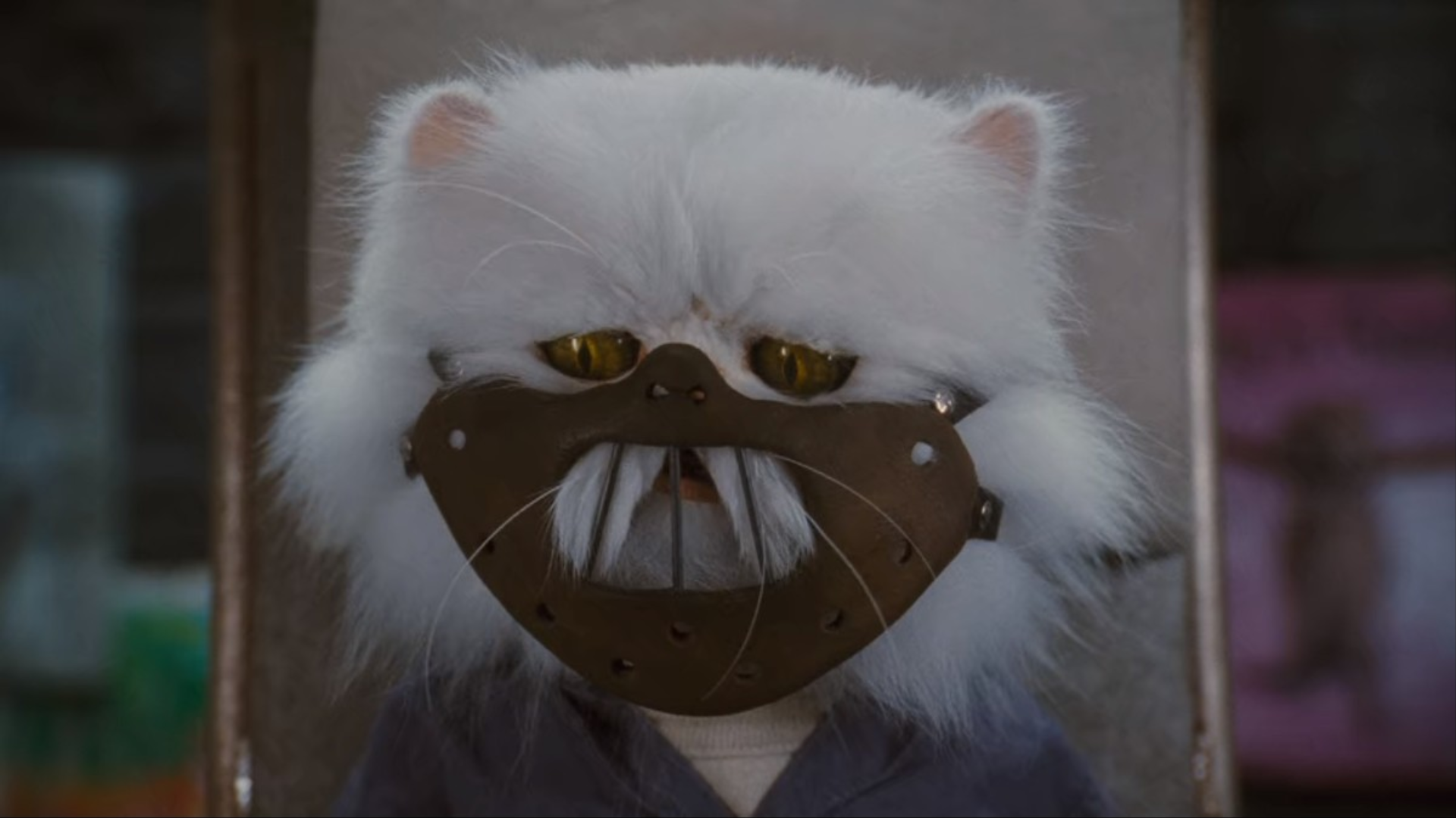 Фильм для кошек