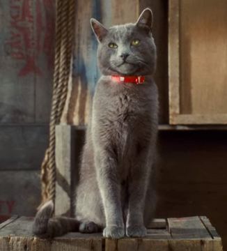 Catherine Cats and Dogs Wiki Fandom