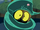 Swamp Eel