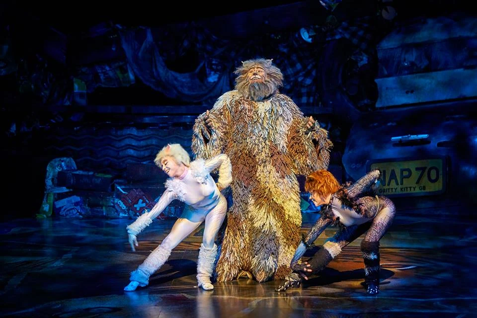 The Song of the Jellicles/French 'Cats' Musical Wiki Fandom