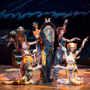 Rum Tum Tugger