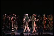 Jellicle songs obc 82 03