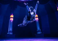 Mistoffelees Aurora 2025.jpg (196 KB) Mistoffelees