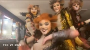 Bombalurina, Asia Tour 2020