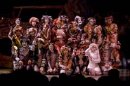 Naming of Cats - Oasis cast 8.jpg (132 KB) Ryan Ocampo