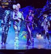 Ad-Dressing of Cats RCCL Cast 10.jpg (1.04 MB) Ryan Lay