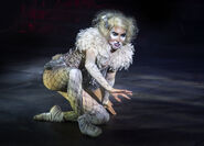 Macavity