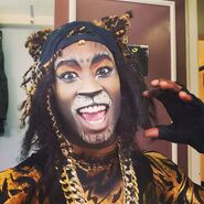 Rum Tum Tugger (cover)