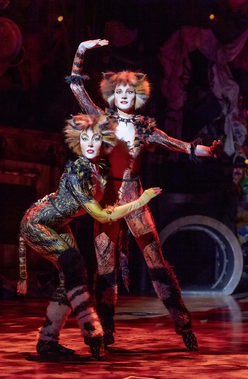 CategoryMacavity the Mystery Cat (Song) Lyrics 'Cats' Musical Wiki