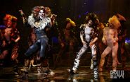 Rum Tum Tugger