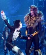 Rum Tum Tugger