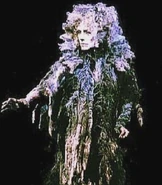Grizabella