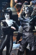 Mistoffelees (cover)