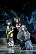Grizabella the Glamour Cat Promo UK22.jpg (1.19 MB) Lizzie Nance
