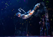 Tumble Kolton Krouse 16.png (357 KB)