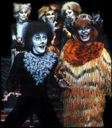 Jellylorum, London 1989