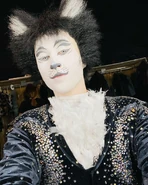 Mistoffelees (cover)